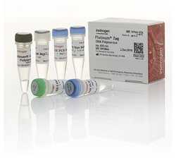 Platinum™ Taq DNA Polymerase 10966034